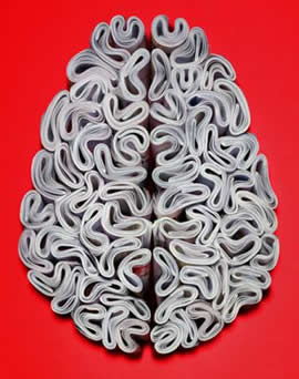 composici�n en forma de cerebro humano con cantos de revistas