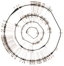 visualizaci&oacute;n de datos